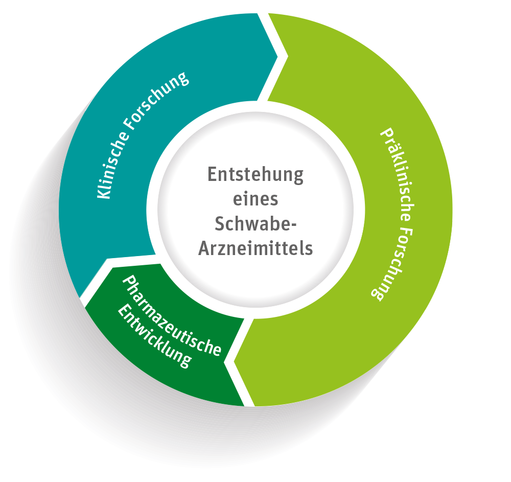 Schaubild zur Entstehung eines Arzneimittels bei Dr. Willmar Schwabe