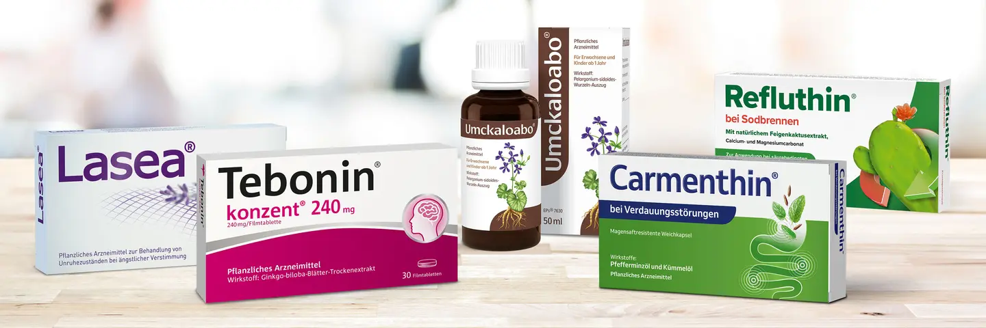Gruppe von Schwabe-Produkten auf Holzuntergrund