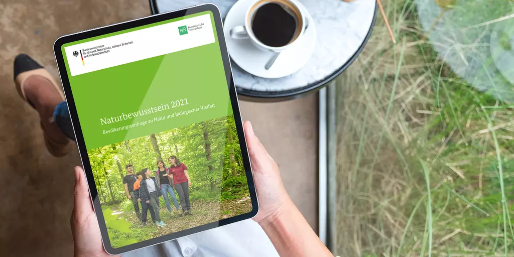 Aufsicht auf ein Tablet mit einer Website zu Naturbewusstsein, dass eine Junge Frau in den Händen hält