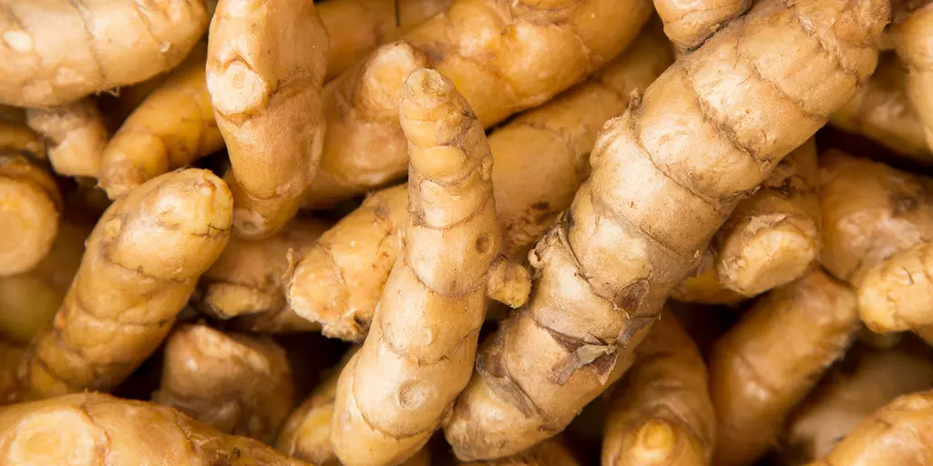  Detail-Ansicht von Curcuma-Wurzeln