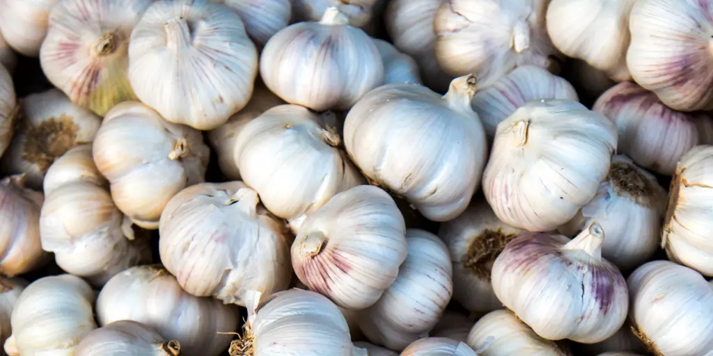 Detail-Ansicht von Knoblauch-Knollen