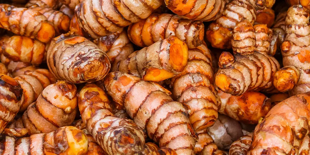 Detail-Ansicht von Curcuma-Wurzeln