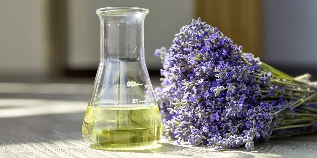 Frisch geschnittener Lavendel liegt neben einem Glasgefäß mit Lavendelöl auf einer sonnendurchfluteten Oberfläche.