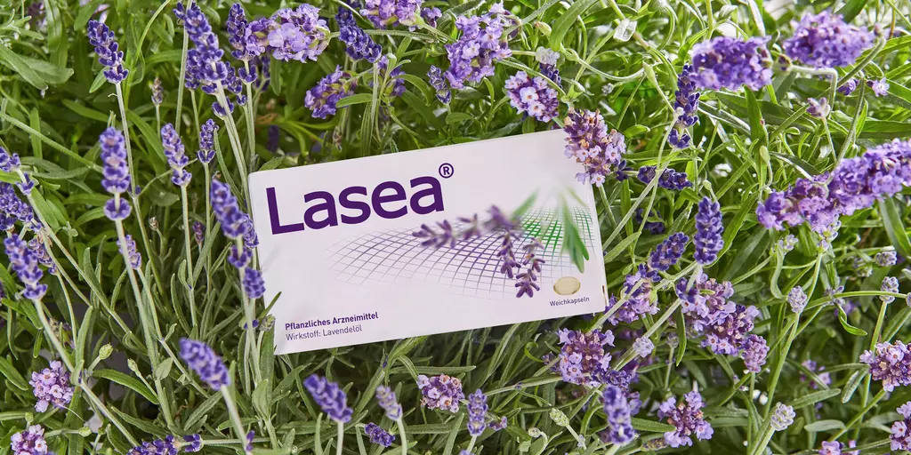Lasea Header