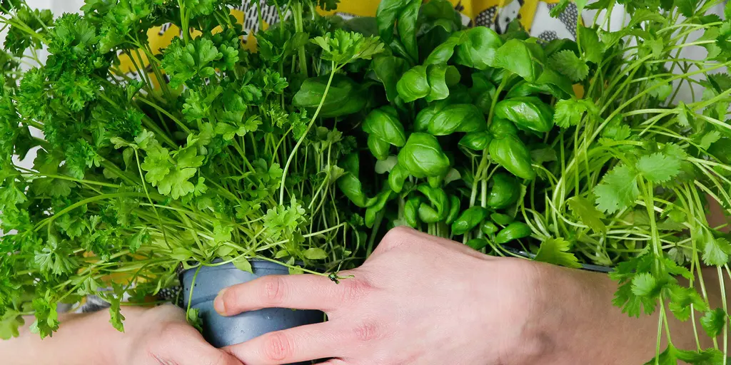 Eine Frau hält einen großen Strauß frischer Kräuter im Arm