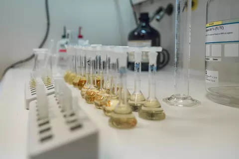 Laborszene mit Reagenzgläsern und dem Vorgang der Qualitätssicherung bei Dr Willmar Schwabe