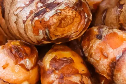 Detail-Ansicht von Curcuma-Wurzeln