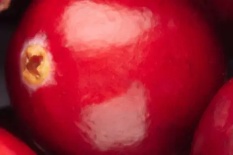 Detail-Ansicht von Cranberries