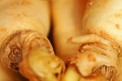 Detail-Ansicht von Ginseng-Wurzeln