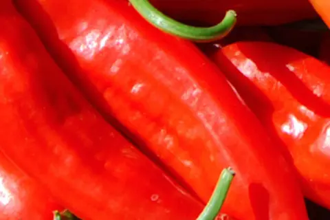 Detail-Ansicht von Capsicum-Schoten
