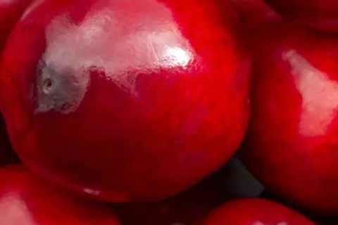 Detail-Ansicht von Cranberries