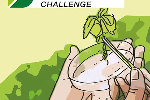 Grafik zur Schwabe Phyto Innovation Challenge