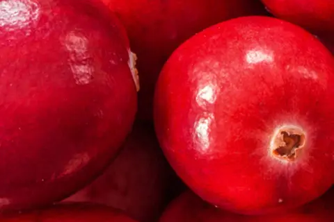 Detail-Ansicht von Cranberries