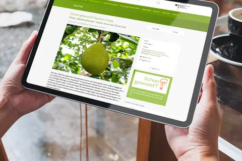 Aufsicht auf ein Tablet mit der Website des Bundesministeriums für Bildung und Forschung, dass eine junge Frau in den Händen hält