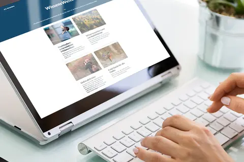 Aufsicht auf ein Laptop mit geöffneter Website des Berliner Museums für Naturkunde, die sich eine junge Frau anschaut