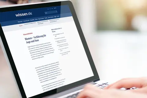 Aufsicht auf ein Laptop mit geöffneter Website von wissen.de, die sich eine junge Frau anschaut