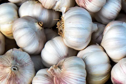 Detail-Ansicht von Knoblauch-Knollen