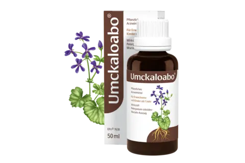 Umckaloabo Tropfen 50ml mit Pflanze