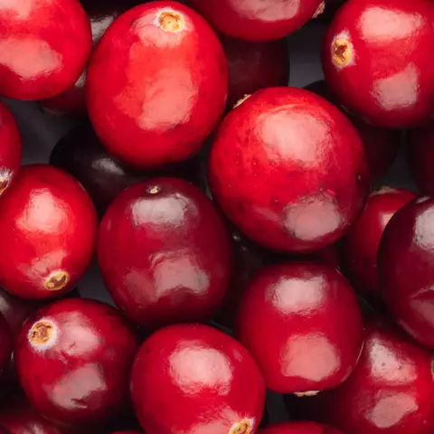 Detail-Ansicht von Cranberries