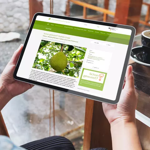 Aufsicht auf ein Tablet mit der Website des Bundesministeriums für Bildung und Forschung, dass eine junge Frau in den Händen hält