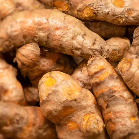 Detail-Ansicht von Curcuma-Wurzeln