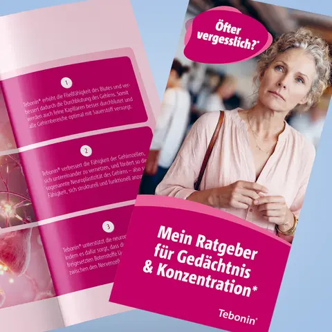 Detail-Ansicht Ratgeber Gedächtnis