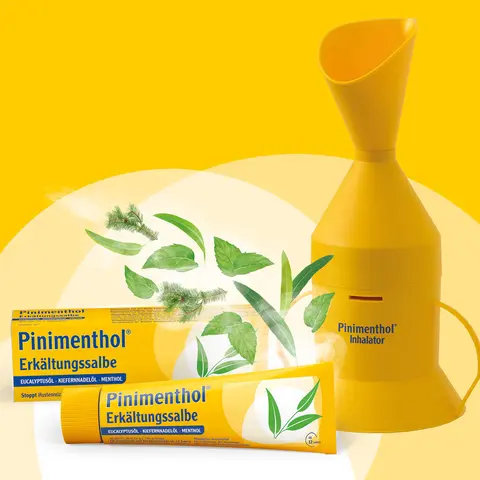 Packshot Pinimenthol Inhalator und Erkältungssalbe