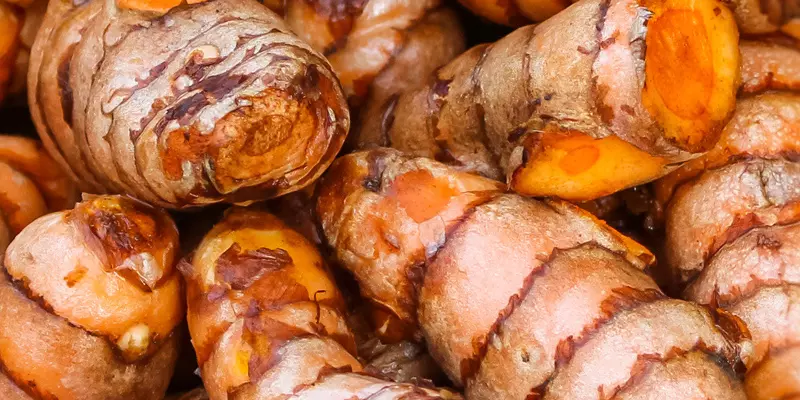 Detail-Ansicht von Curcuma-Wurzeln