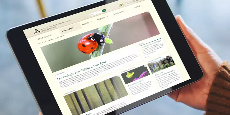 Aufsicht auf ein Tablet mit der Website der Akademie für Natur- und Umweltschutz Baden-Württemberg, dass eine junge Frau in den Händen hält