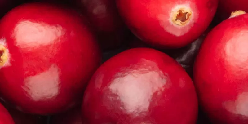 Detail-Ansicht von Cranberries