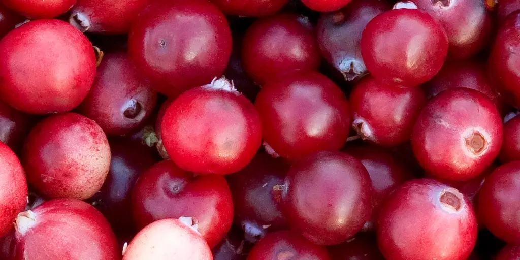 Detailaufnahme von Cranberries