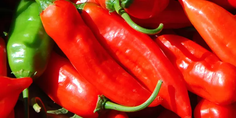 Detail-Ansicht von Capsicum-Schoten