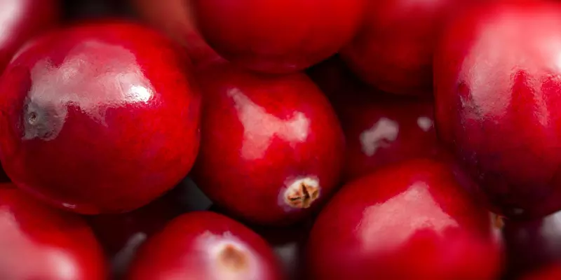 Detail-Ansicht von Cranberries