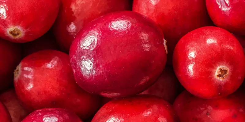 Detail-Ansicht von Cranberries
