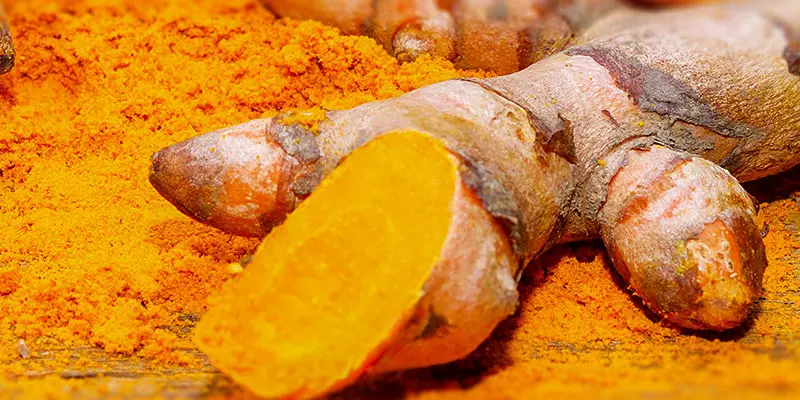 Detail-Ansicht von Curcuma-Wurzeln