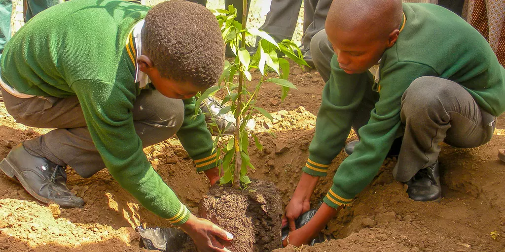 Schüler in Südafrika pflanzen Bäume im Rahmen eines Baumpflanzprojektes