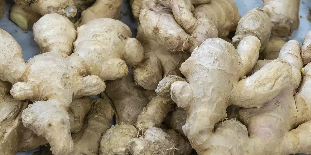 Detail-Ansicht von Ingwer-Wurzeln