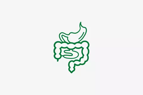Icon Magen-Darm