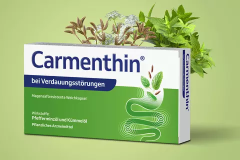 Carmenthin Packung mit Kümmel- und Pfefferminzpflanzen