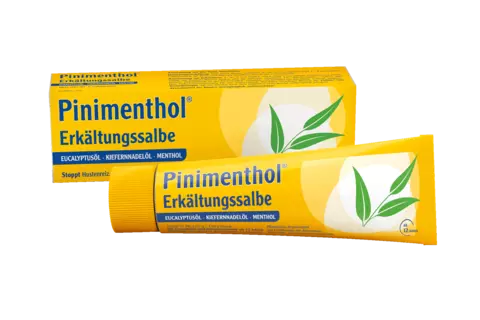 Pinimenthol Salbe Tube und Packung