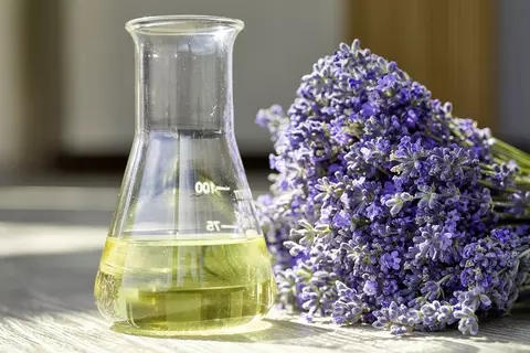 Frisch geschnittener Lavendel liegt neben einem Glasgefäß mit Lavendelöl auf einer sonnendurchfluteten Oberfläche.
