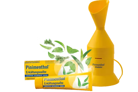 Pinimenthol Salbe und Inhalator Packshot mit Swosh