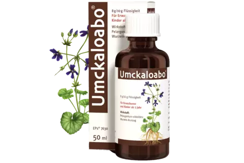 Umckaloabo Tropfen Packshot mit Pelargonie