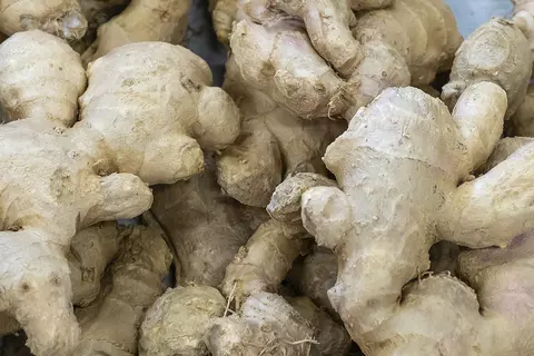 Detail-Ansicht von Ingwer-Wurzeln