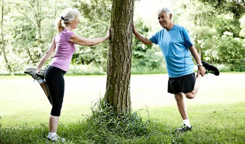 Paar macht Dehnübungen und stützt sich dabei an einem Baum ab
