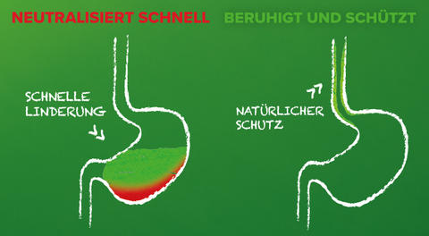 Schaubild der Wirkweise von Refluthin®