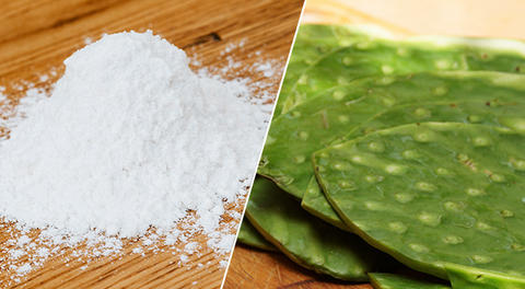 Carbonate und Feigenkaktus, die Wirkstoffkombination von Refluthin®