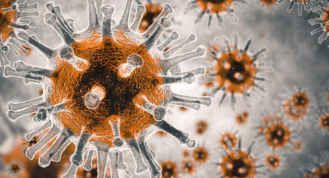 Ansammlung von Viren – Umckaloabo® wirkt antiviral.