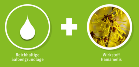 Reichhaltige Salbengrundlage und Wirkstoff Hamamelis