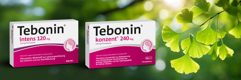 Tebonin konzent und Tebonin intens mit einem Composing von Ginkgo-Blättern als Hintergrund.
